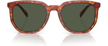 Coach HC 8384U CL911 577482