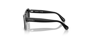 Swarovski SK6012 1010