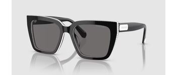 Swarovski SK6013 1011 Polarized