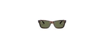 Ray Ban RB2283 902/31
