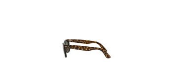 Ray Ban Wayfarer Ease RB4340 710