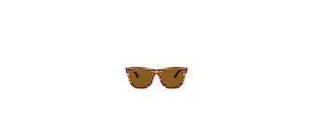 Ray Ban R0502S 679183