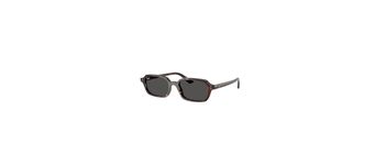 Ray Ban RB4455 135987