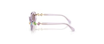 Swarovski SK6042 1079LA