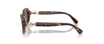 Swarovski SK6028 100273