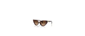 Dolce & Gabbana DG4497 322274
