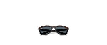 Ray Ban Balorama RB2489 1441R5