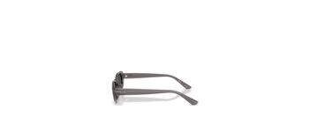 Ray Ban RB4441D 677787