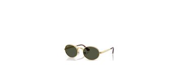 Ray Ban RB3931 001/31