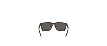 Oakley Holbrook OO9102-F4
