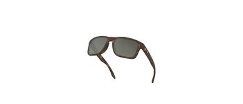 Oakley Holbrook OO9102-F4
