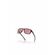 Oakley OO9448-33