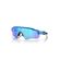 Oakley Radar Ev Path OO9208-F1