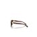 Dolce & Gabbana DG4497 322274