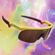 Oakley Resistor OJ9010-28 Fortnite