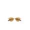 Bottega Veneta 1268S 004