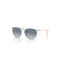 Ray Ban RB4171 67434L
